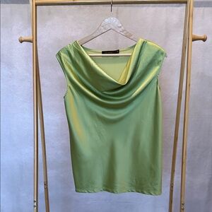 The Limited Green Apple Top